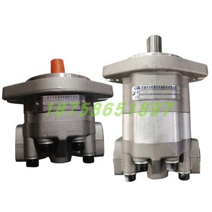 1E13S 油泵 液压齿轮泵 I天津天机液压机械有限公司