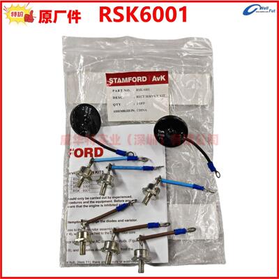 全新RSK-2001 RSK-1101斯坦福发电机整流二极管RSK-6001 RSK-5001