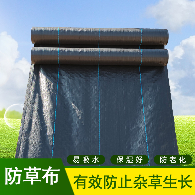 速发PE防草布除草布盖草布耐用透气农I用遮草果树果园地钉地膜地