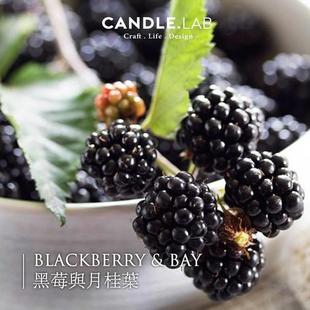 CANDLE.LAB 黑莓与月桂叶香料DIY香薰石膏蜡烛扩香石香薰精油24