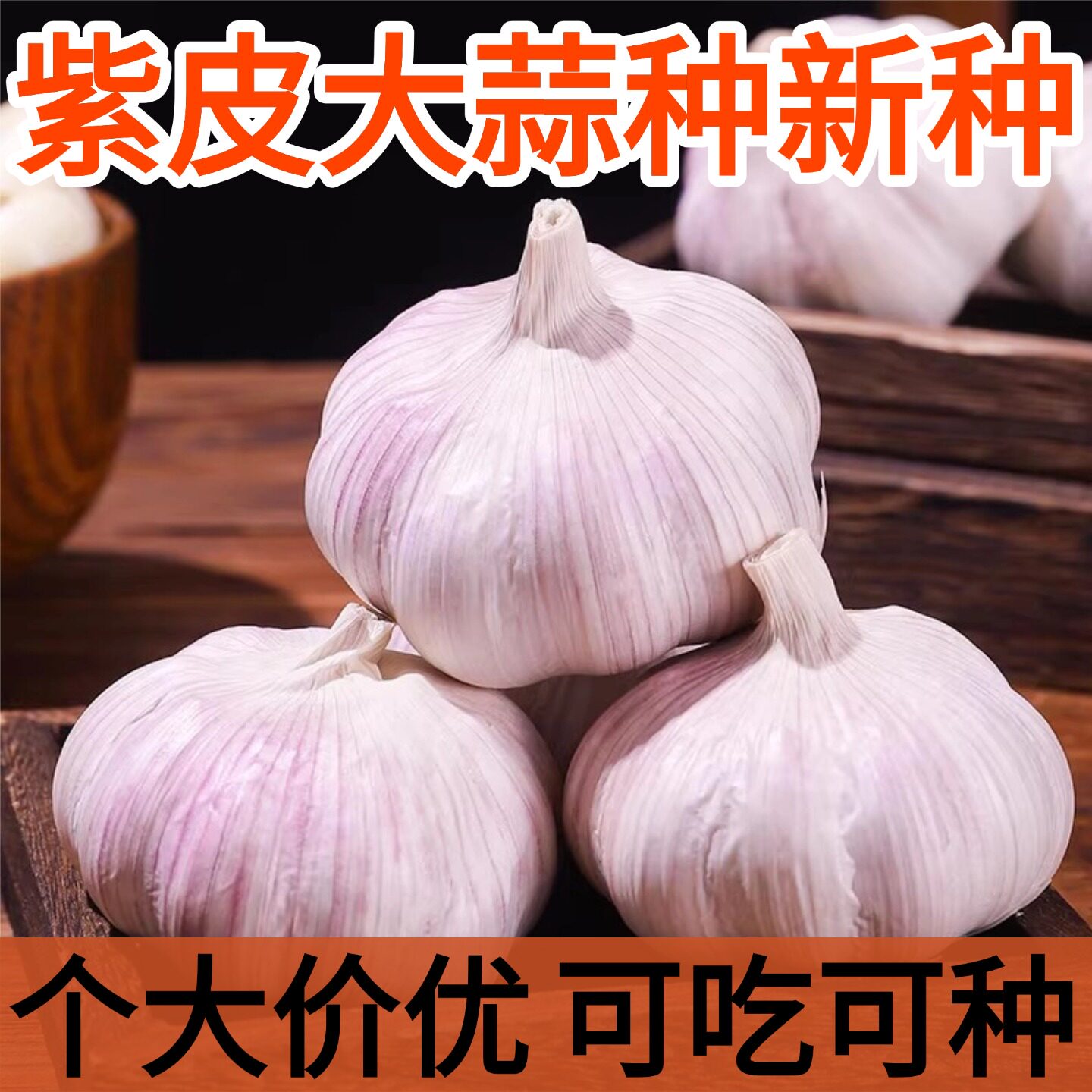 大蒜干蒜瓣紫白皮可吃可种大头籽蒜头蒜种子新鲜农家出蒜苔蒜苗