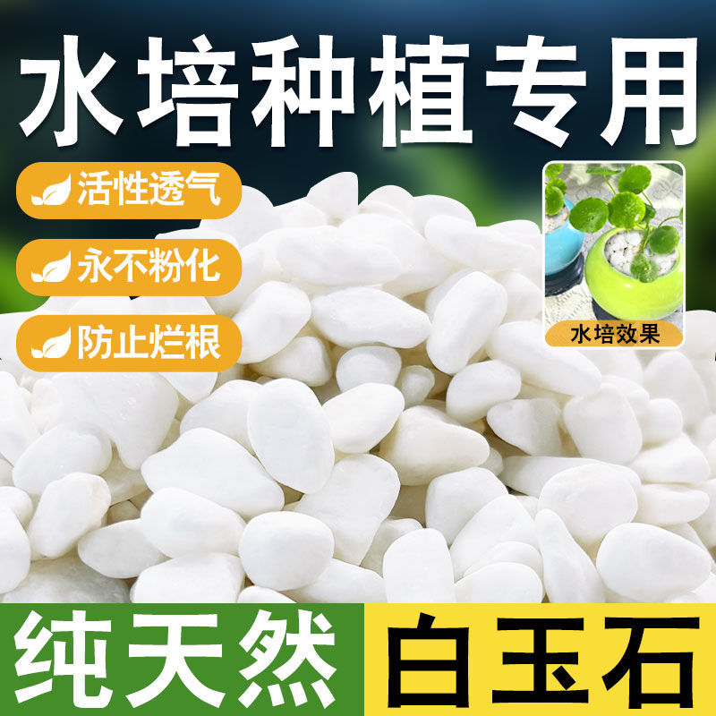 水培白石子鹅卵石雨花石鱼缸造景