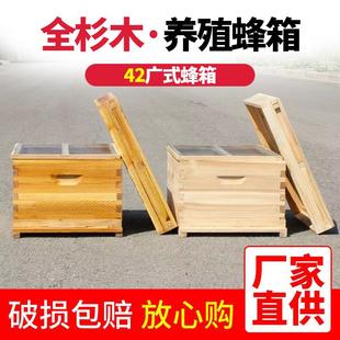 标准十框中蜂蜂箱蜂荣蜜蜂箱煮蜡烘干七框诱蜂箱土养箱全杉木 广式