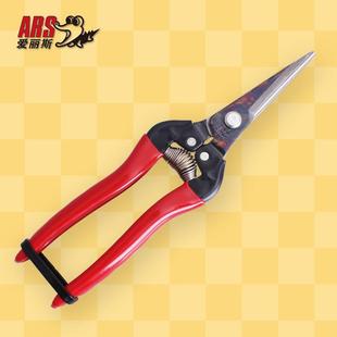 日本爱丽斯 进口长嘴摘果水果剪果蔬稀果采摘剪刀 ARS 300L