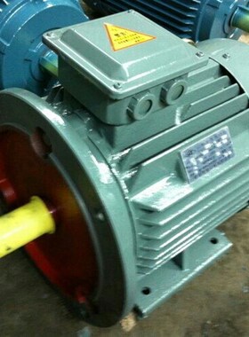 Y系列三相异步电动机Y160Mr2-2 15KW 2P2级2800转3000转立卧式电