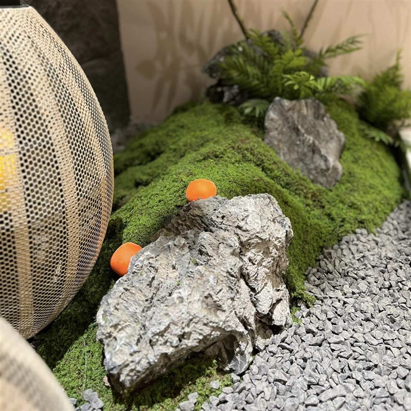 彷真柿子树展厅酒店天花板吊顶壁挂C装饰假树吊挂绿植日式造景挂