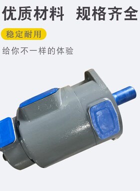叶片泵20V8A10A14A1m7A19A25V21A25A30A35V45A3520V4520V3525V452