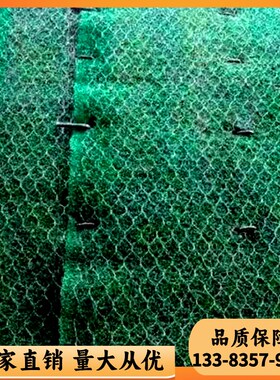 护坡三维植被网3层绿色植被三x维网EM2边坡护坡网塑料防护网植被