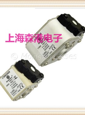熔断器熔芯保险x丝170M3569