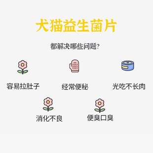 【瑞恩吉尔斯】益生p菌片 帮助消化 肠胃问题增强体质