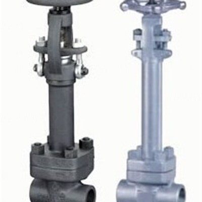 DZ61/41E 锻钢低温闸阀