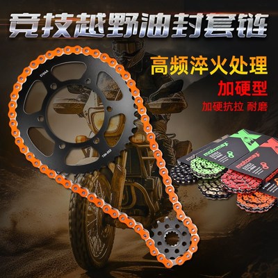 适用川崎KLE300异o兽Versys摩托车链轮改装大小齿油封链条套链配