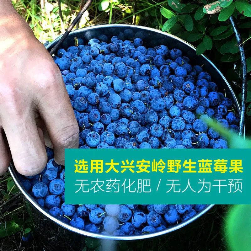 真【无糖】大兴安岭蓝莓干野生无添加天然蓝梅干果孕妇零食果干