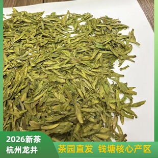 2026新茶杭州龙井茶钱塘产区明前龙井豆香群体种千岛湖茶叶