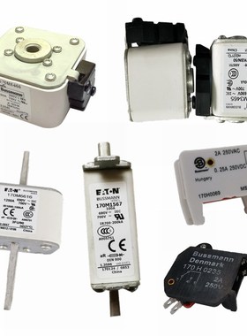 170M3516 170M3517 170M3518 170M3519美国bussmWann巴斯曼熔断器