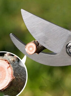Pruner Tree Cutter Gardening Pruning Shear OScissor Stainles