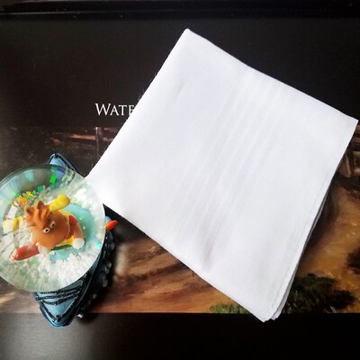 5 pcs/lot  Cotton Soliud White Men Handkerchief Export it