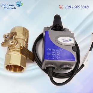 江森开关型电动二通球阀VA9310-AUA-3 E螺纹VG1000系列阀体DN15-5