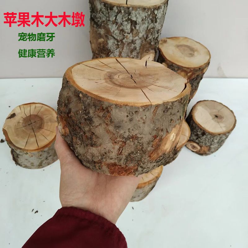 小宠物龙猫兔子木质磨牙工具天然树墩苹果木墩仓鼠金丝熊烘干站台