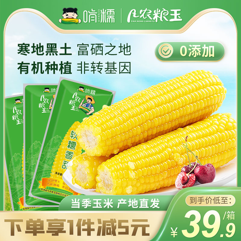 啃糯东北糯玉米非转基因新鲜真空包装黄粘甜黏10棒装凡农粮玉系列