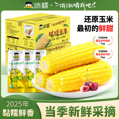 啃糯东北2025年新鲜糯玉米软甜糯