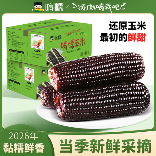 啃糯黑糯玉米东北新鲜真空包装