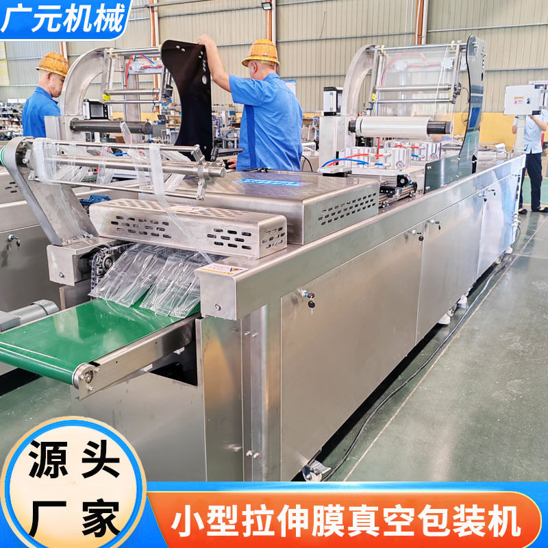 杏干桃干小型拉伸膜真空包装机乌梅真空封口机果脯真空包装机器
