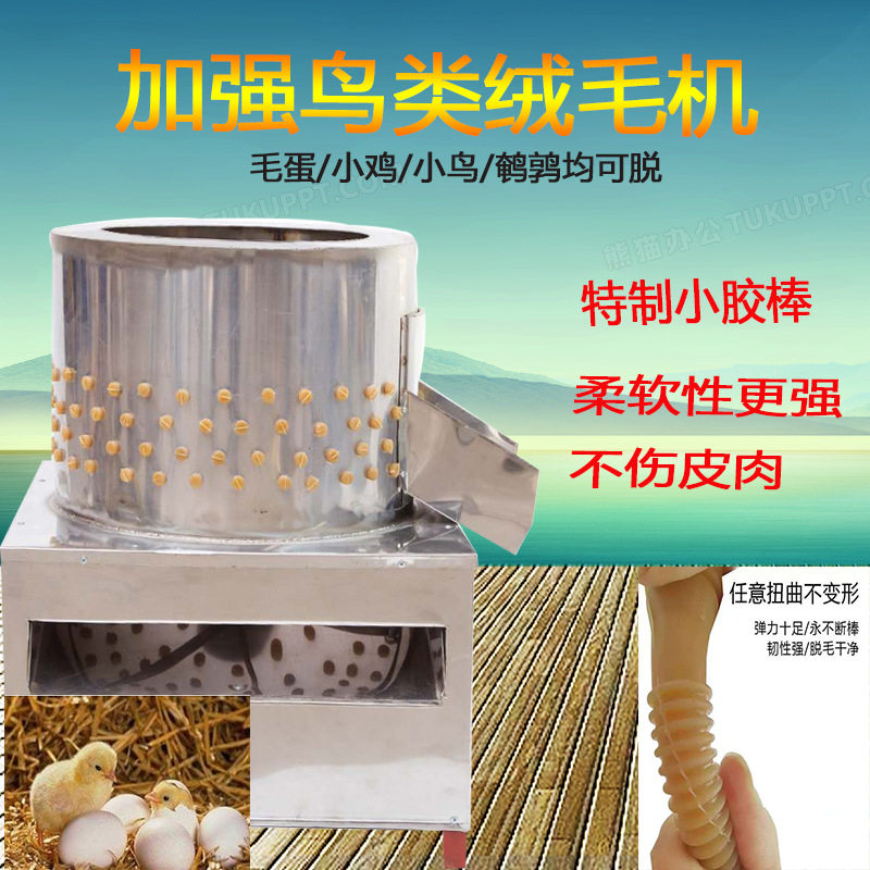 不锈钢小家禽鹌鹑鸽子脱毛机刚出壳小鸡小鸭小鹌鹑脱毛机批发厂家