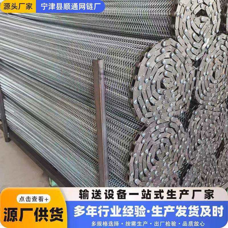 隧道炉清洗机冷冻线烘干流水线链条式输送网带不锈钢链条网带厂