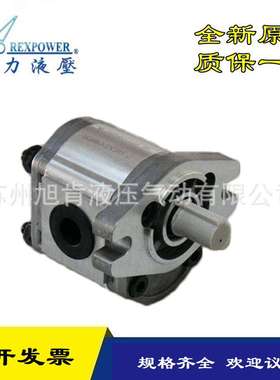 锐力REXPOWER齿轮泵RGP-F201R/F202/F225/F203/F204-12