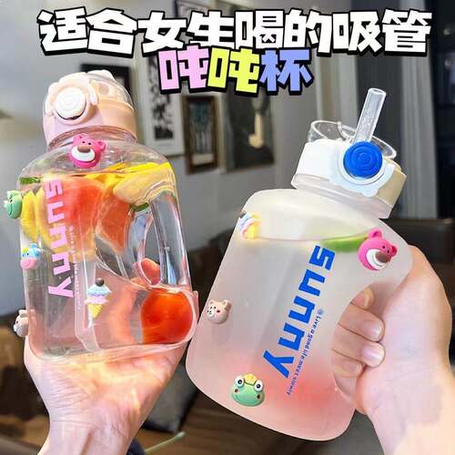 高颜值大容量水杯女生吸管杯运动水壶小清新1000ml健身水壶吨吨杯