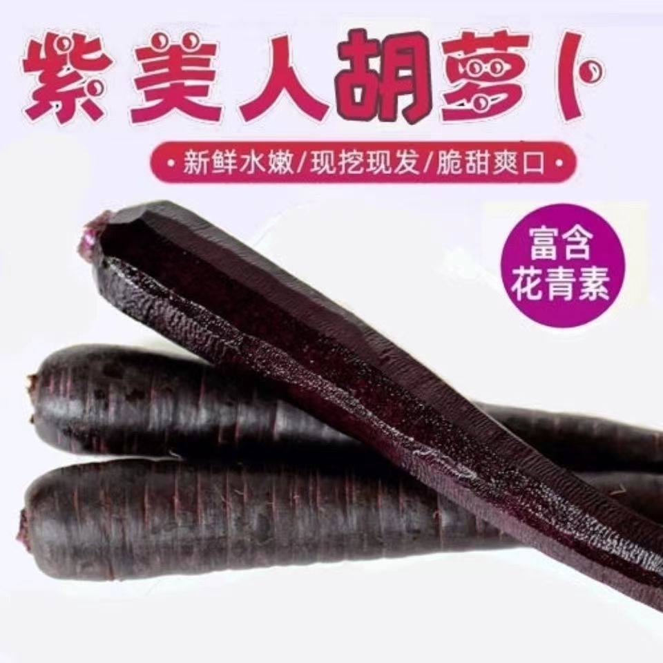 新鲜现挖现发紫色萝卜水果胡萝卜生吃花青素紫皮紫心胡萝卜5,水产肉类/新鲜蔬果/熟食,萝卜/胡萝卜,淘宝优惠券,粉丝福利购,淘宝优惠卷