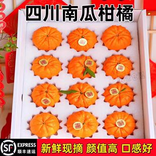 【顺丰礼盒】新鲜南瓜柑橘灯笼柑发财柑橘当季新鲜水果沙糖桔子