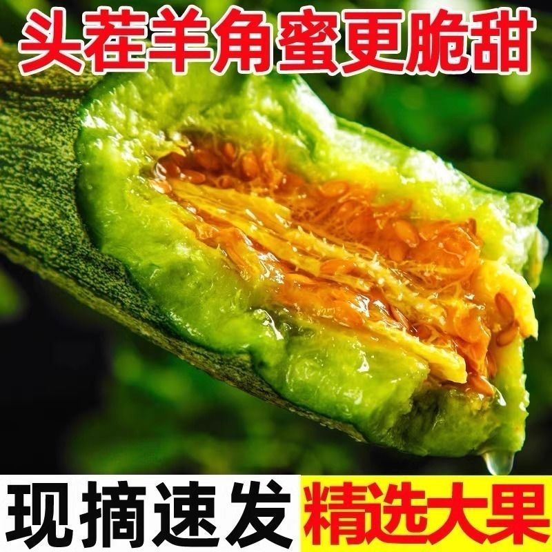 头茬羊角蜜甜瓜孕妇水果新鲜应季现摘现发脆瓜香瓜蜜瓜羊角脆