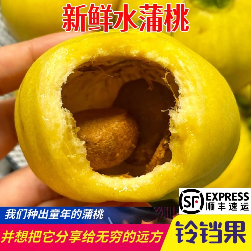 顺丰水蒲桃1斤新鲜现摘水果叮当果 水葡萄铃铛果蒲桃自种优质水果