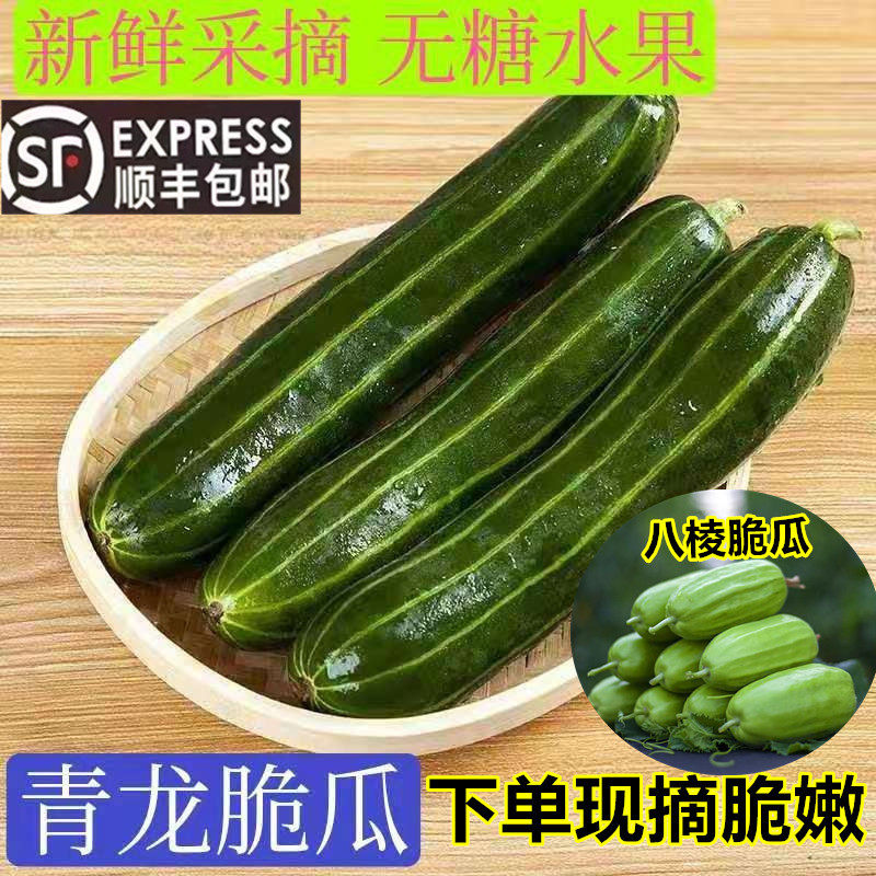 山东潍坊脆瓜稍瓜烧瓜不甜菜瓜青龙脆瓜八棱脆瓜不甜水果顺丰