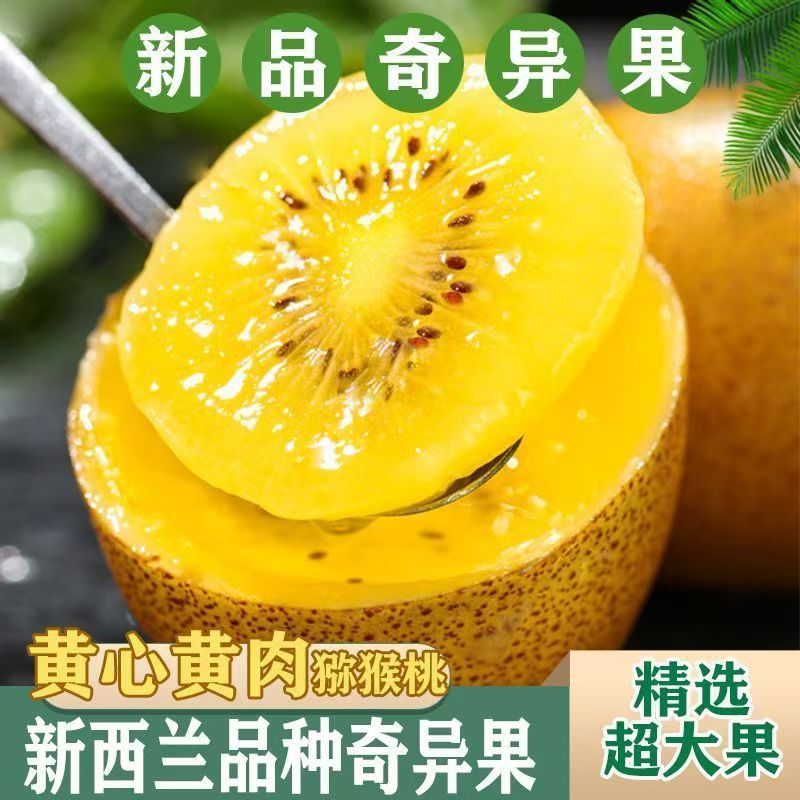 正宗阳光金果奇异果黄心猕猴桃