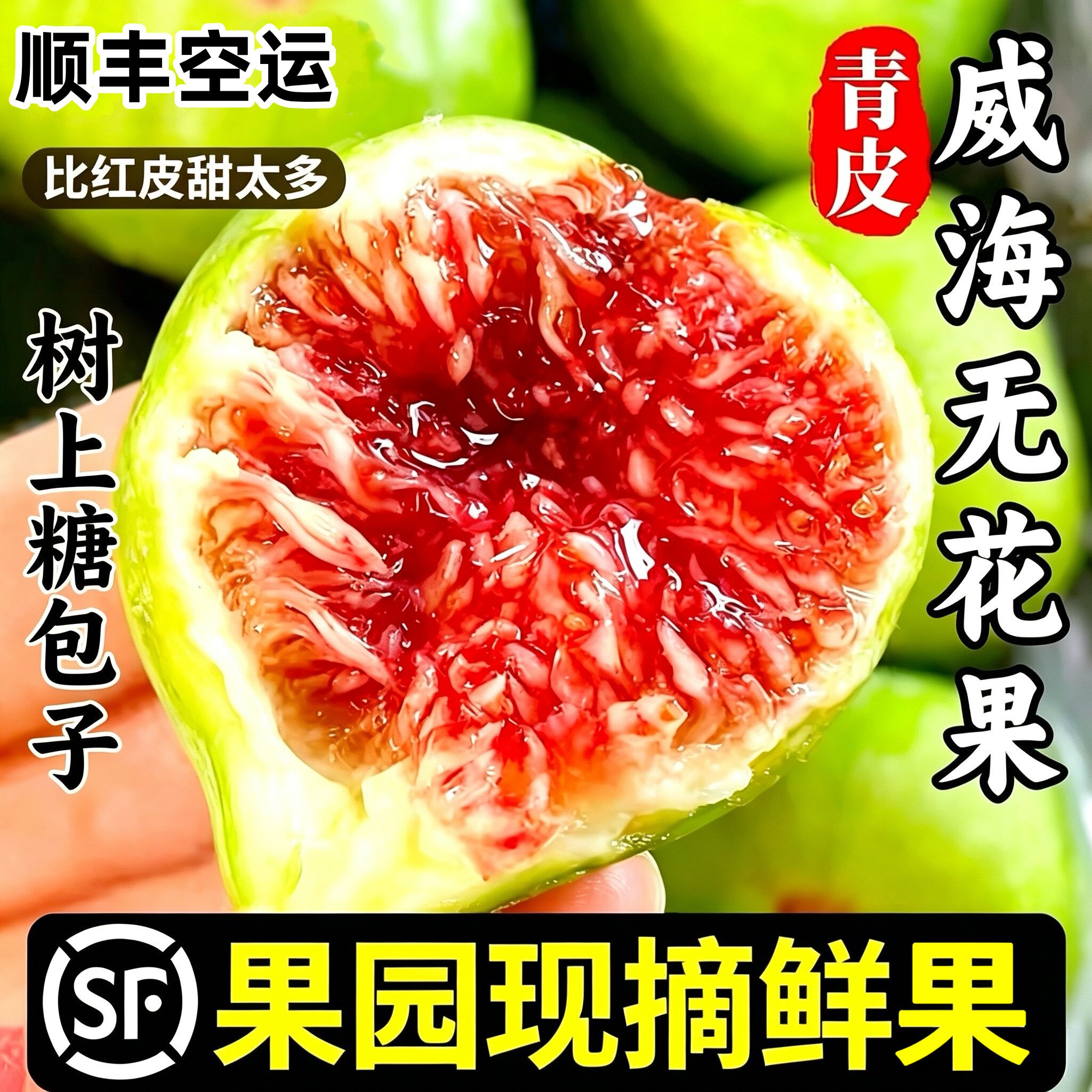 山东威海特产新鲜青皮无花果鲜果应季孕妇水果甜糯大果现摘顺丰5