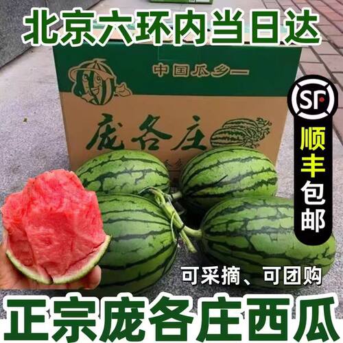 北京大兴庞各庄小西瓜手撕