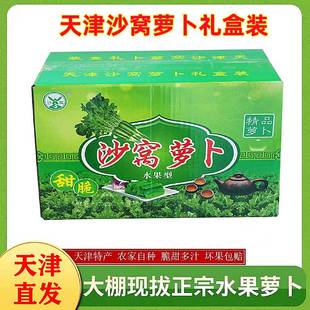 天津沙窝萝卜天星2号正宗新鲜生吃脆甜不辣水果青萝卜产地直发