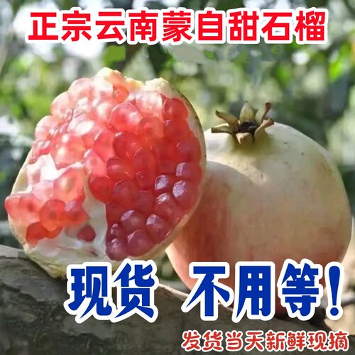 云南蒙自石榴旗舰店当季水果新鲜薄皮硬籽多汁酸甜石榴现摘现发