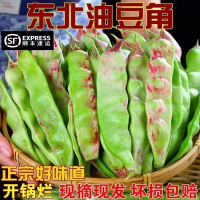 正宗东北油豆角一点红豆角新鲜蔬菜九月青面豆角开锅烂现摘顺丰发