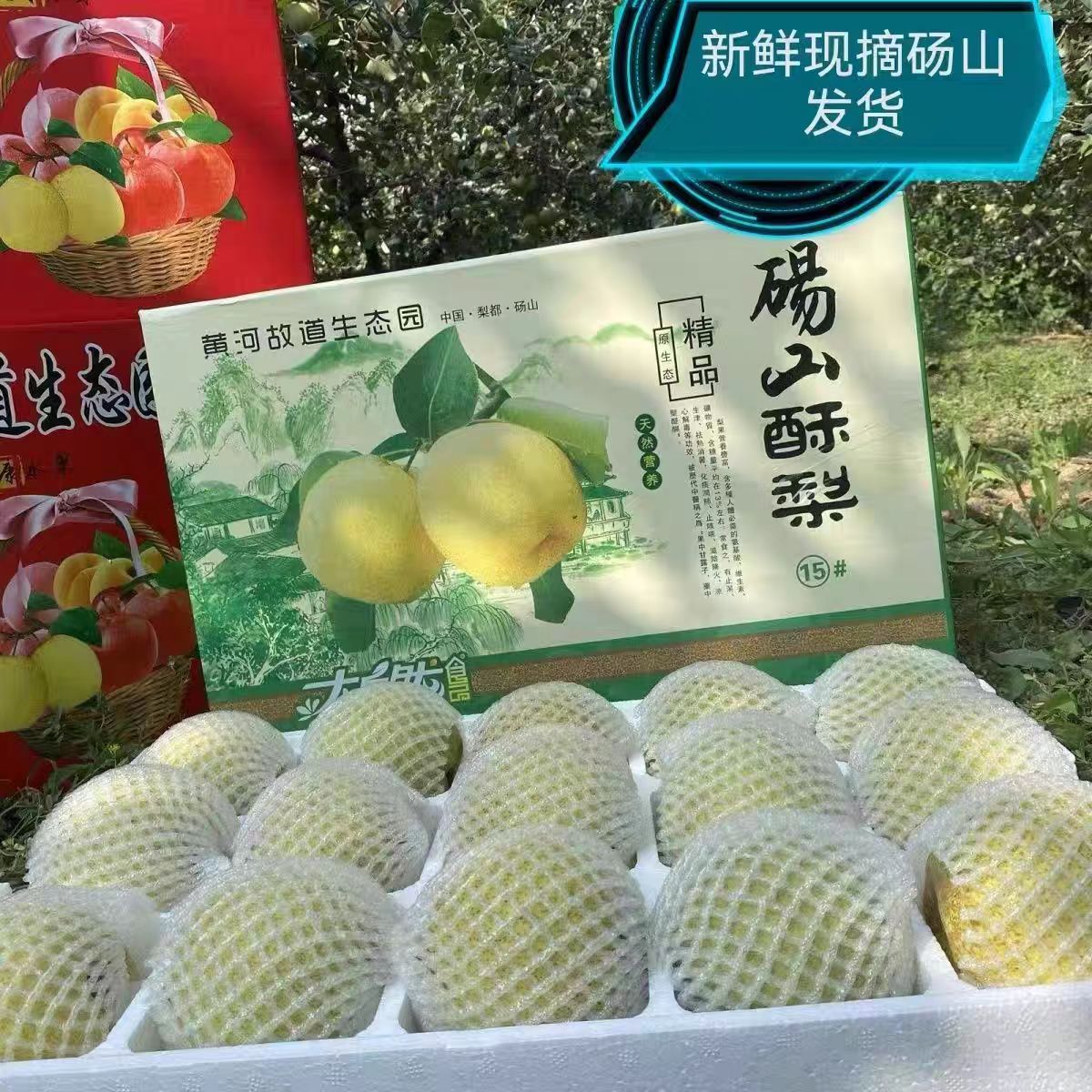 正宗砀山梨新鲜水果皇冠梨翠冠蜜梨香雪当季梨子甜脆旗舰店礼盒