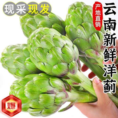 网红菜新鲜朝鲜蓟大果当