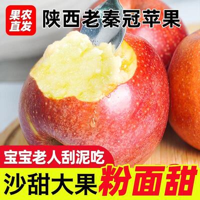 粉面沙甜糯秦冠苹果新鲜现摘当季