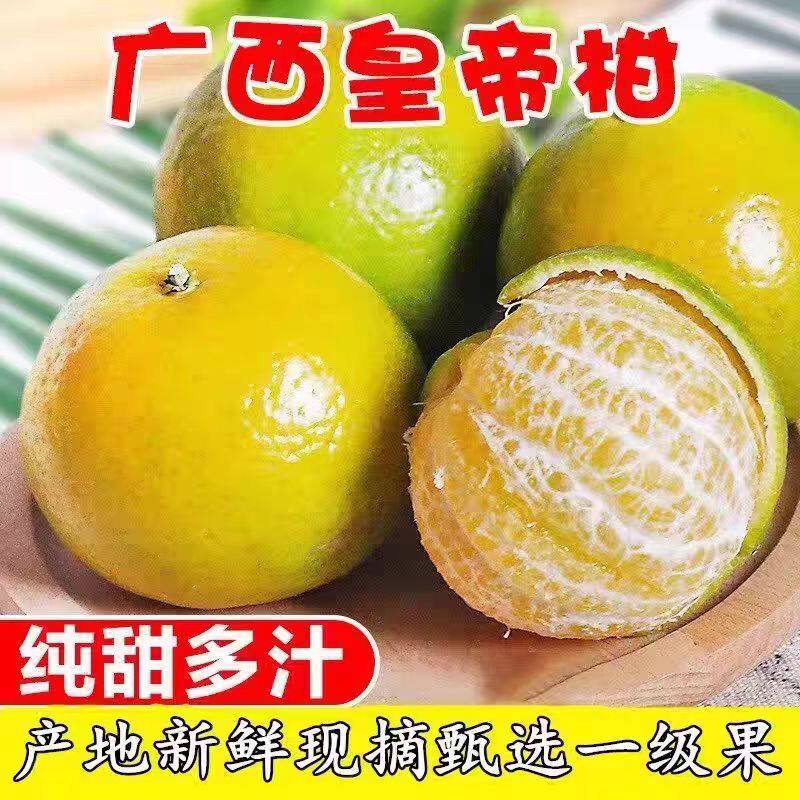 正宗广西皇帝柑大果10斤现摘蜜桔橘子贡柑砂糖新鲜水果整箱新鲜