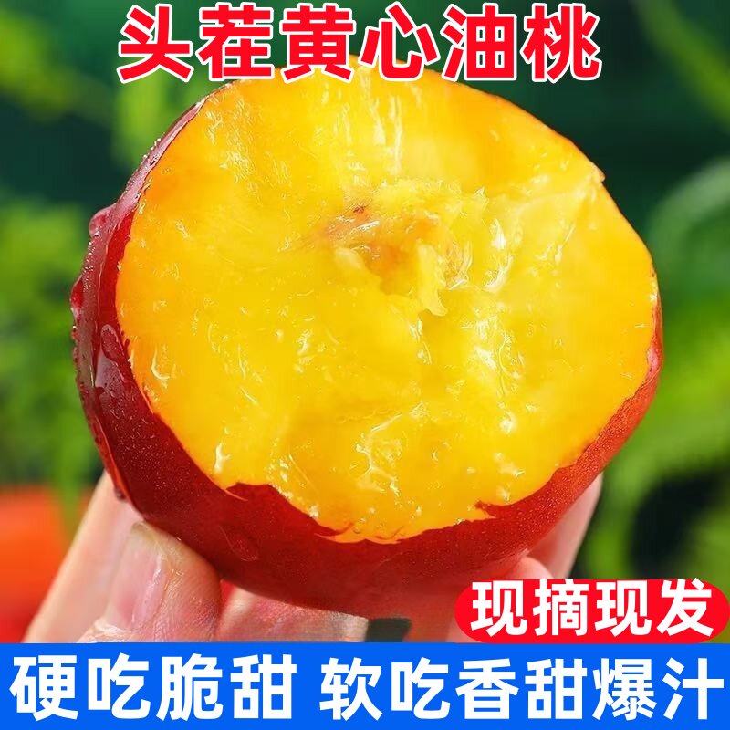 现摘头茬黄心麻点油桃脆甜大桃子当季孕妇新鲜水果黄肉硬桃黄桃
