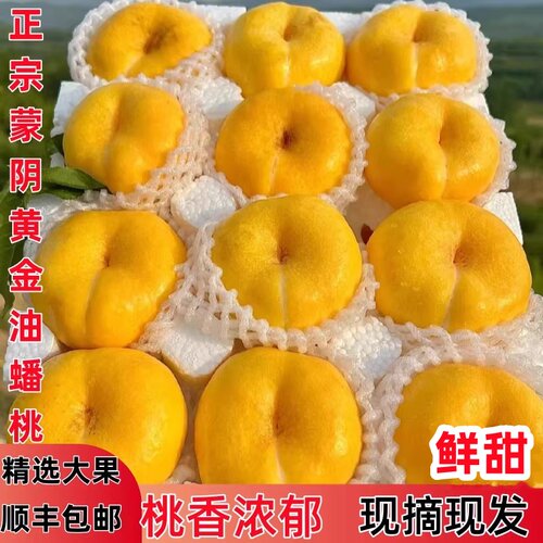 顺丰现摘蒙阴黄金油蟠桃当季新鲜水果大果脆甜桃扁桃子蟠桃黄油桃