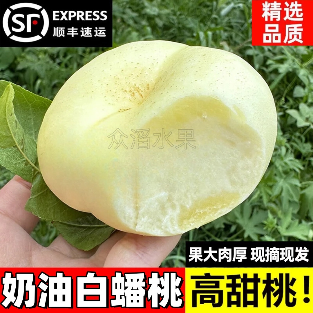 顺丰现摘蒙阴奶油蟠桃新鲜