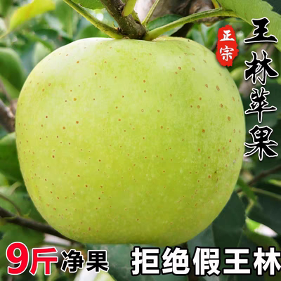 正宗王林苹果水新鲜当季整